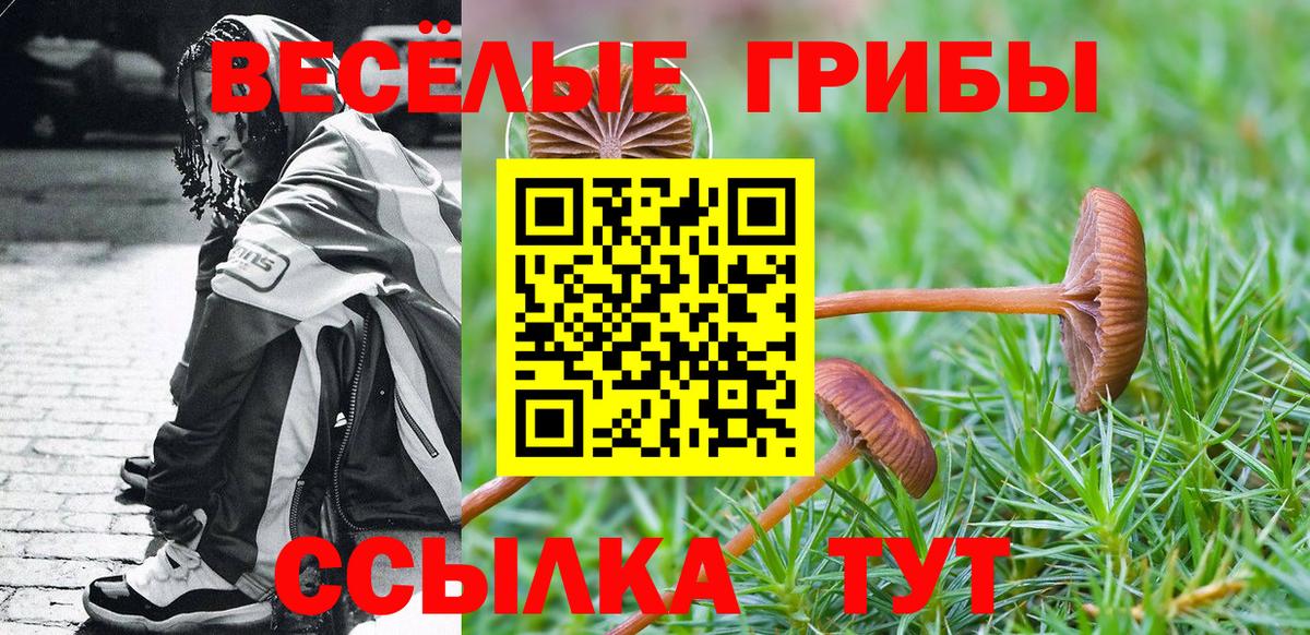 Псилоцибиновые грибы Psilocybe Лениногорск