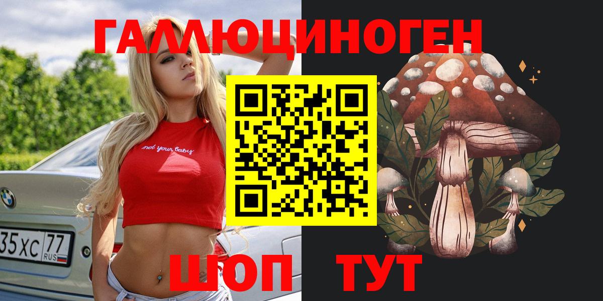Галлюциногенные грибы Psilocybe  Вход с VPN  Лениногорск 